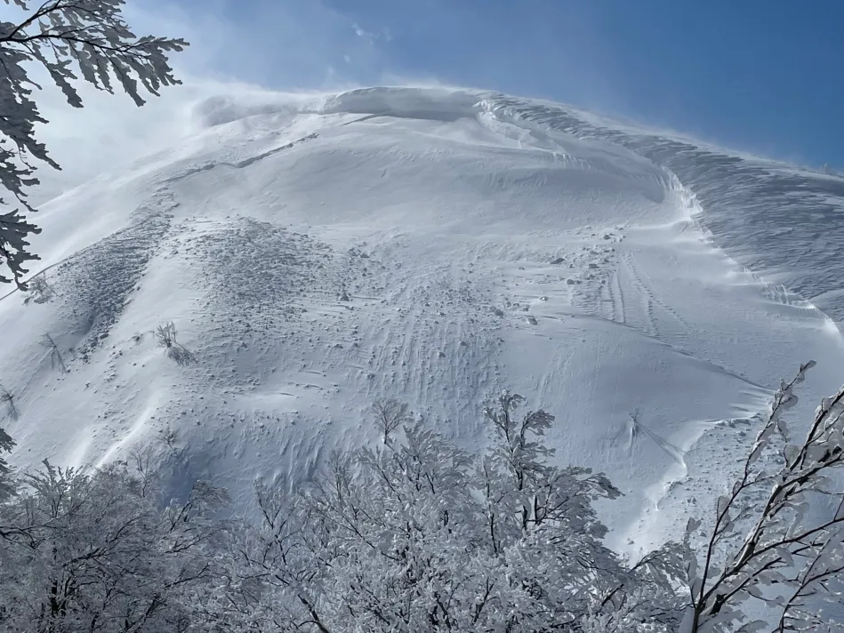 西法寺森山頂直下、北東斜面の雪崩跡と急激に成長した雪庇