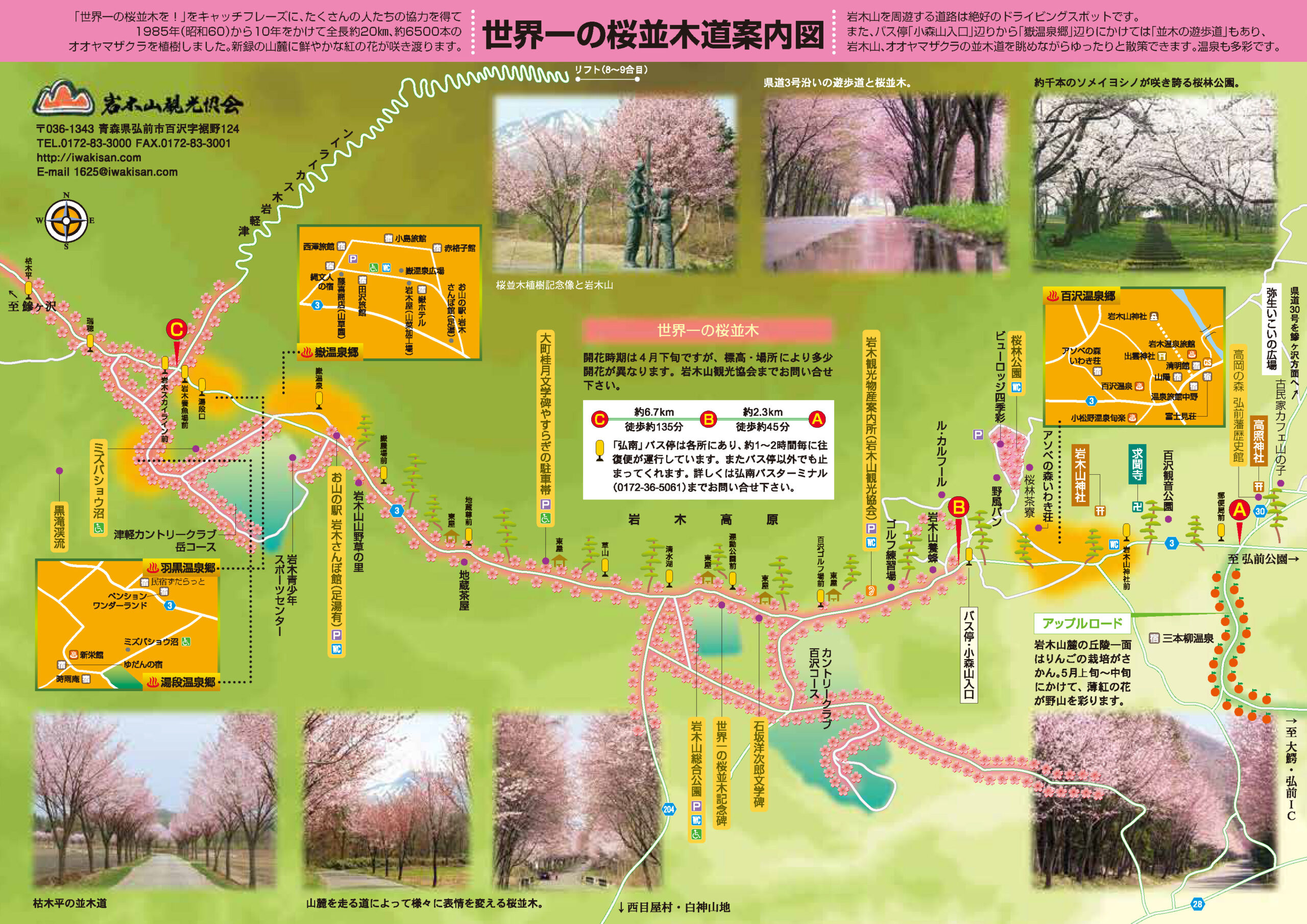 世界一の桜並木道案内