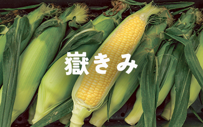 青森県岩木山獄地区トウモロコシ(獄キミ)真空パック 青森県弘前市岩木 青森県岩木山獄地区トウモロコシ(獄キミ)真空パック 青森県弘前市岩木