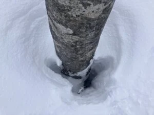 岩木山雪山情報（2026年1月4日現在）